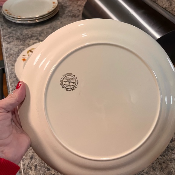 MARY DUNBAR JEWEL HALLS SUPERIOR DISHES - Picture 15 of 15